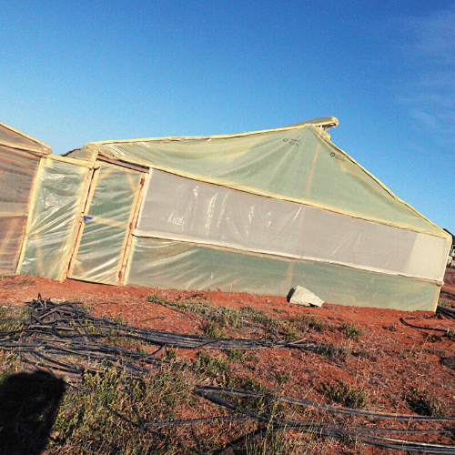 Greenhouse Construction Experts in Kenya