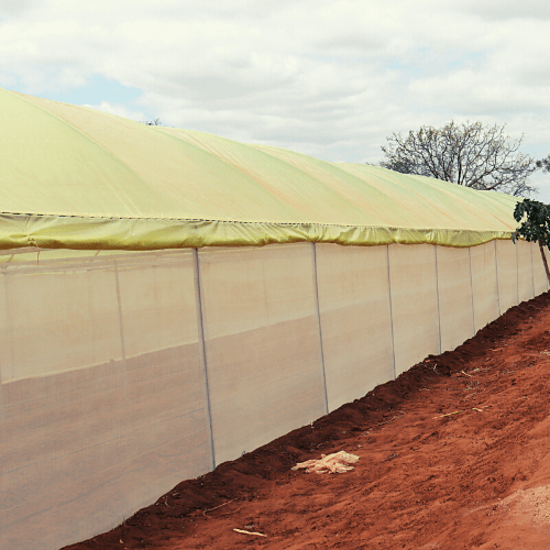 Quality Metallic Greenhouses in Kenya