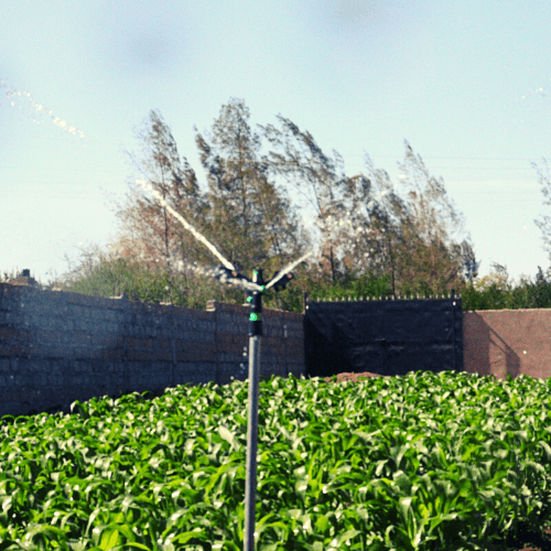 Best Greenhouse and Irrigation Systems