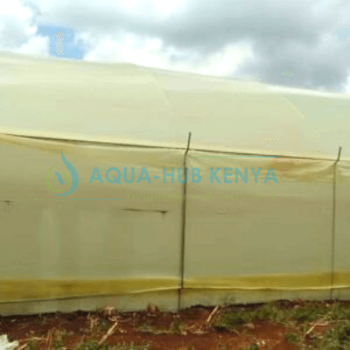 Best Greenhouse Kits in Kenya