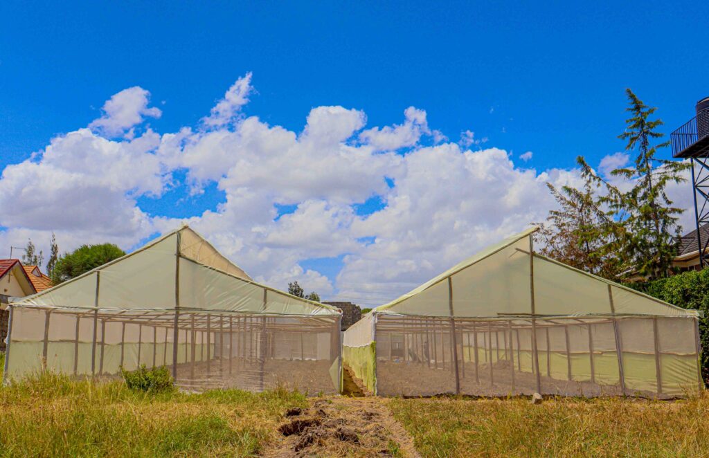 Wooden Greenhouse In Kenya