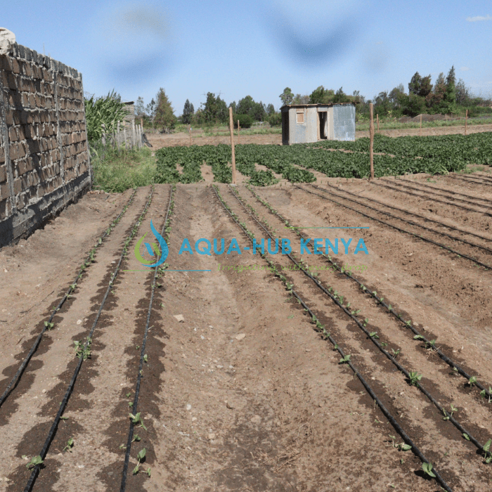 Drip Irrigation