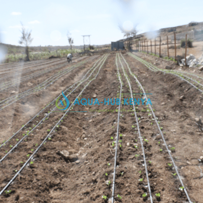 Drip Irrigation