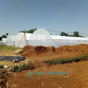 Affordable Greenhouse in Kenya