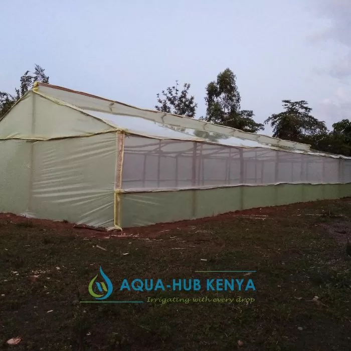 Affordable Greenhouse in Kenya by Aqua Hub Kenya