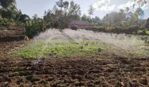 Rain Hose Pipes in Kenya