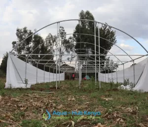 Greenhouse Structure by Aqua Hub Kenya