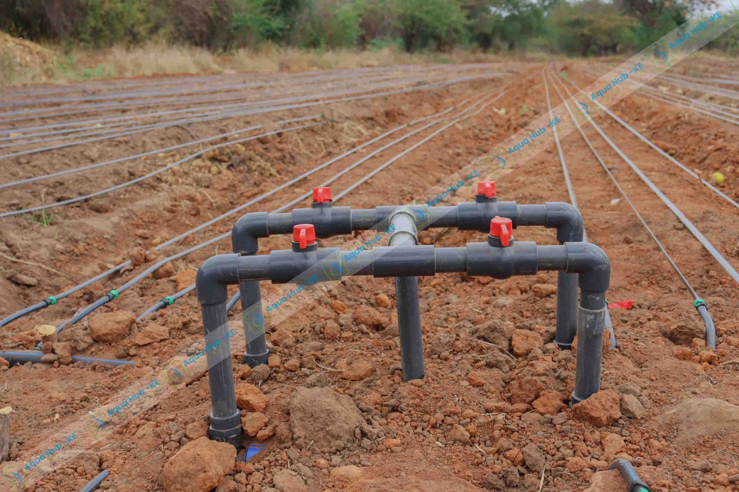 Cost of Drip Irrigation Per Acre