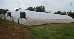 Affordable Metallic Greenhouses in Kenya