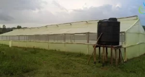 Affordable wooden Greenhouses in Kenya