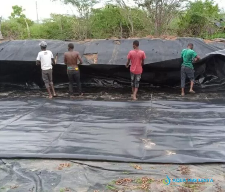 Fish Pond Liners in Kenya