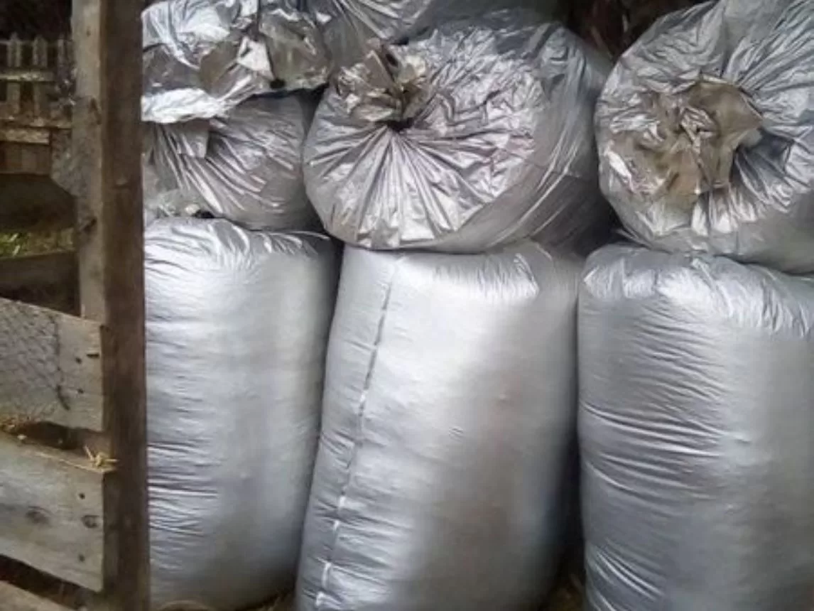 Silage Bags in Kenya