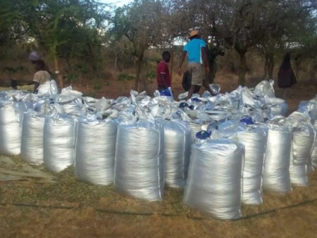 Silage Bags in Kenya