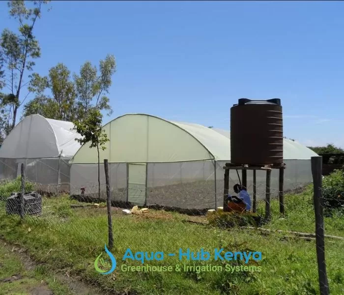 Greenhouse Kenya Company