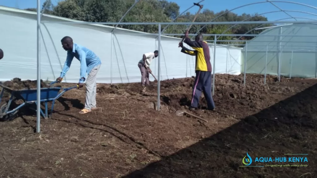 Greenhouse Constructors in Kenya