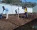 Greenhouse Constructors in Kenya