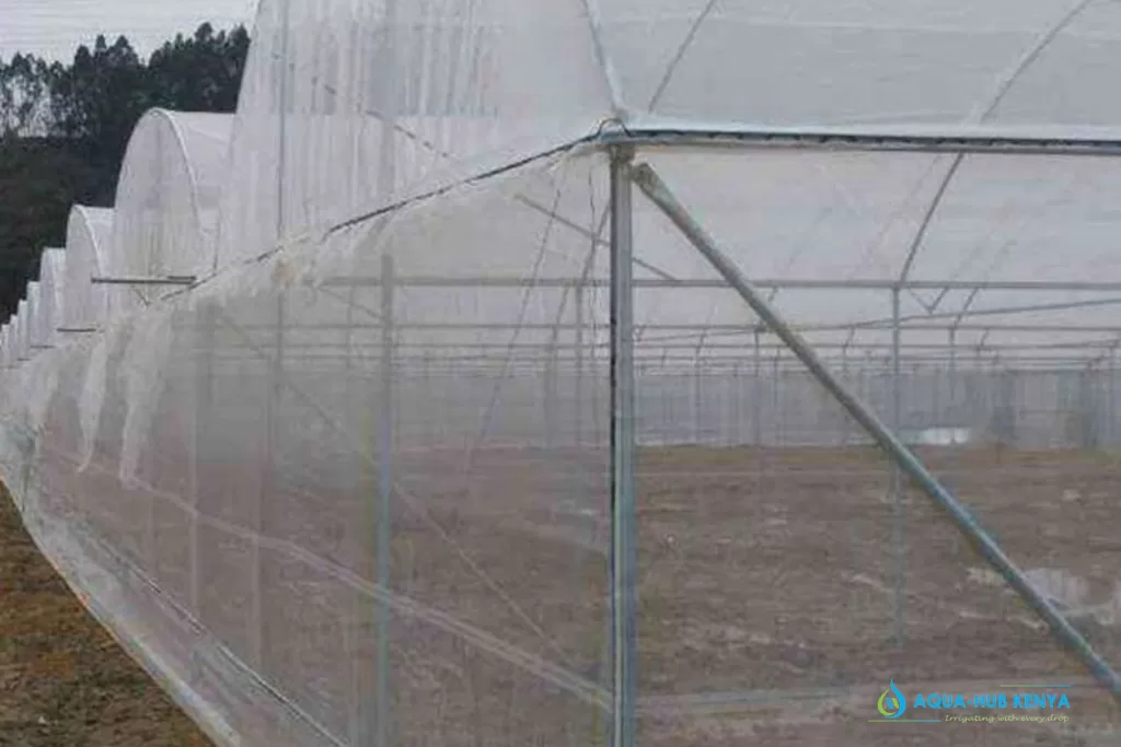 Insect nets for agriculture in Kenya