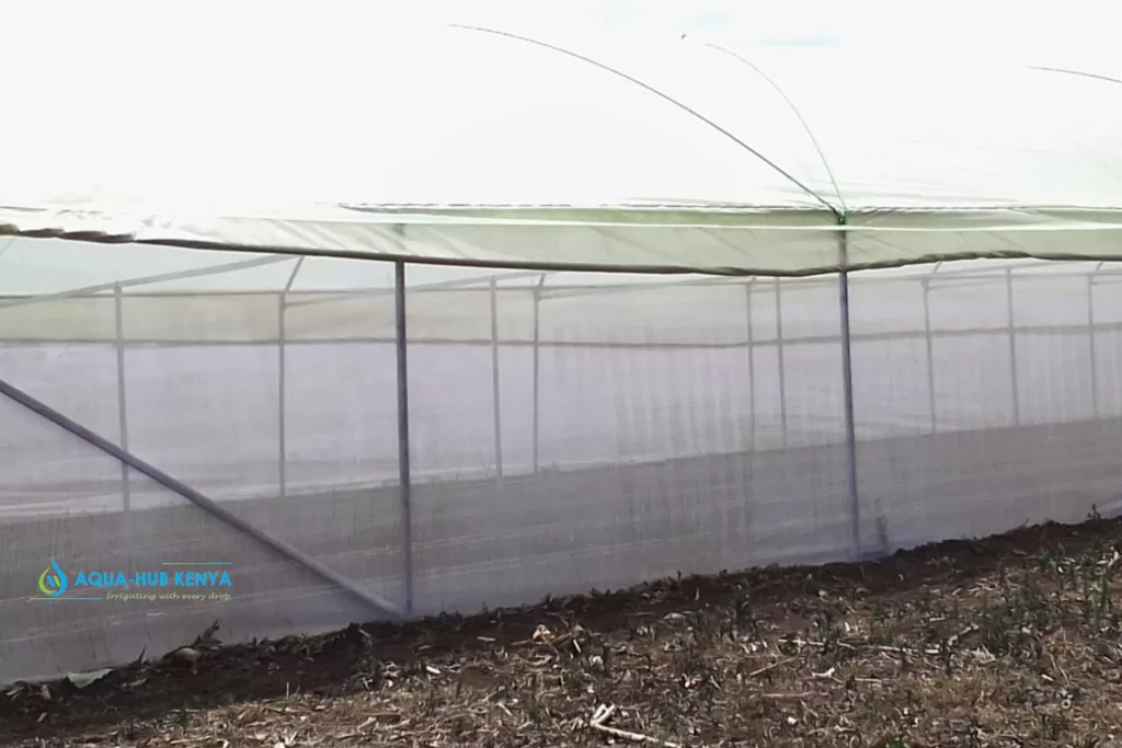 Insect nets for agriculture in Kenya