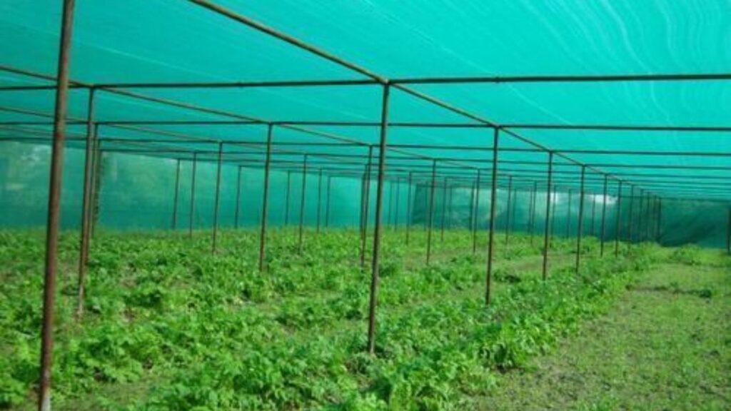 Affordable Shade Nets in Kenya