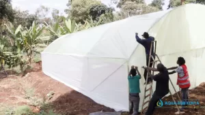 Greenhouse Repair services