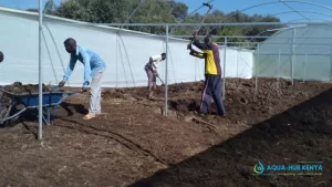 Greenhouse Repair services