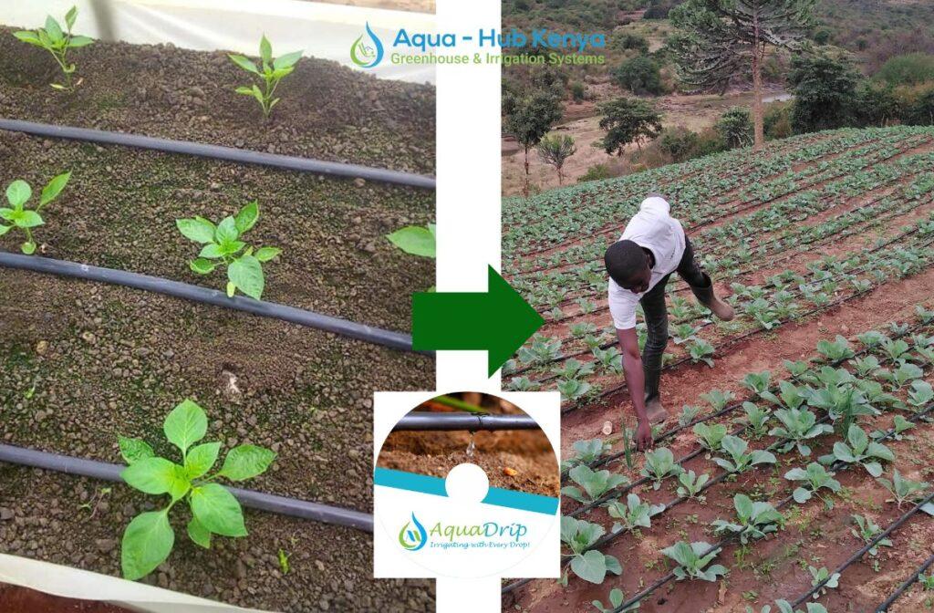 Drip Lines in Kenya by Aqua Hub LimitedCall 0790719020