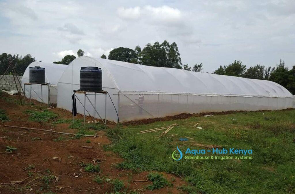 Greenhouse for Sale in Kenya