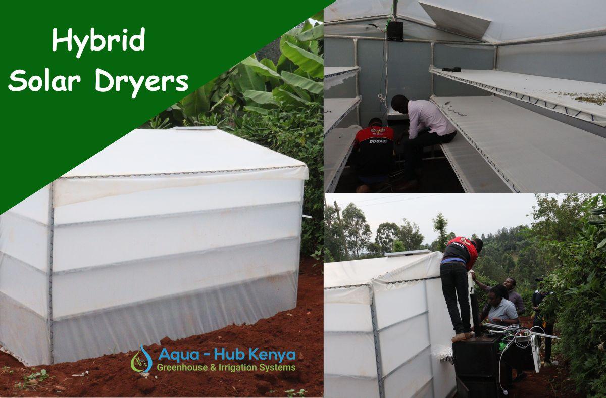 Hybdrid Solar Dryers in Kenya