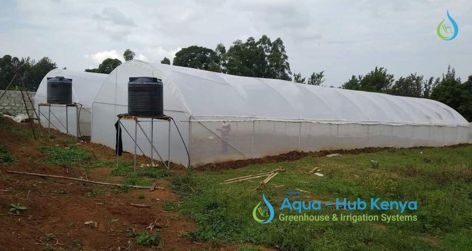 Metallic Greenhouses in Kenya