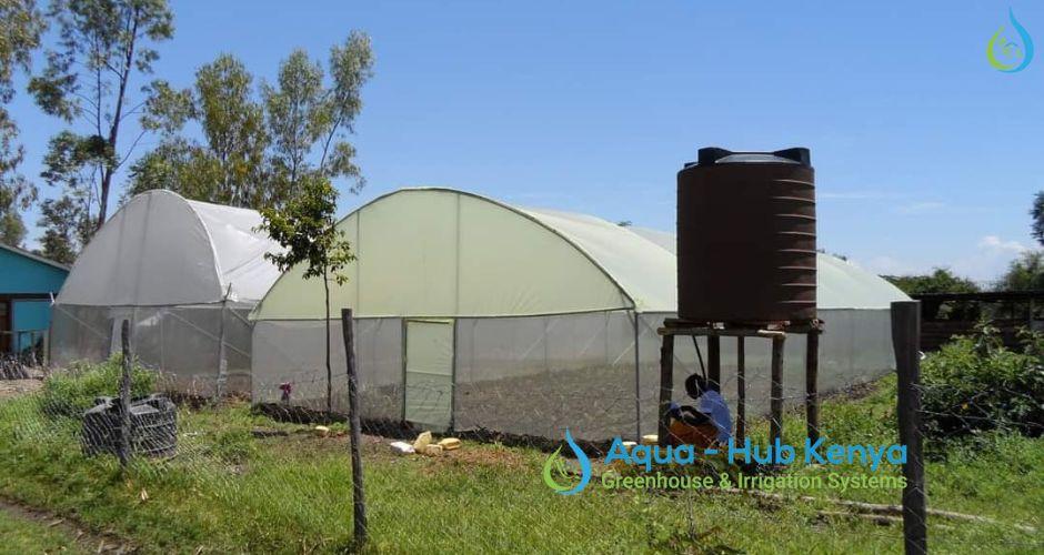 metal greenhouse frames in Kenya