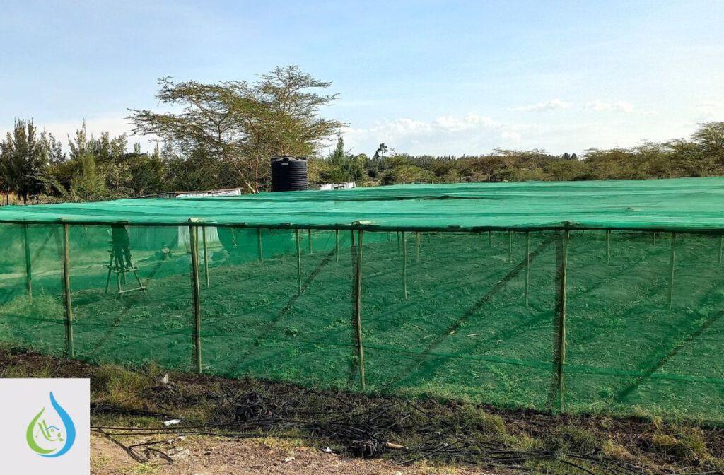 Garden Shade Netting in Kenya