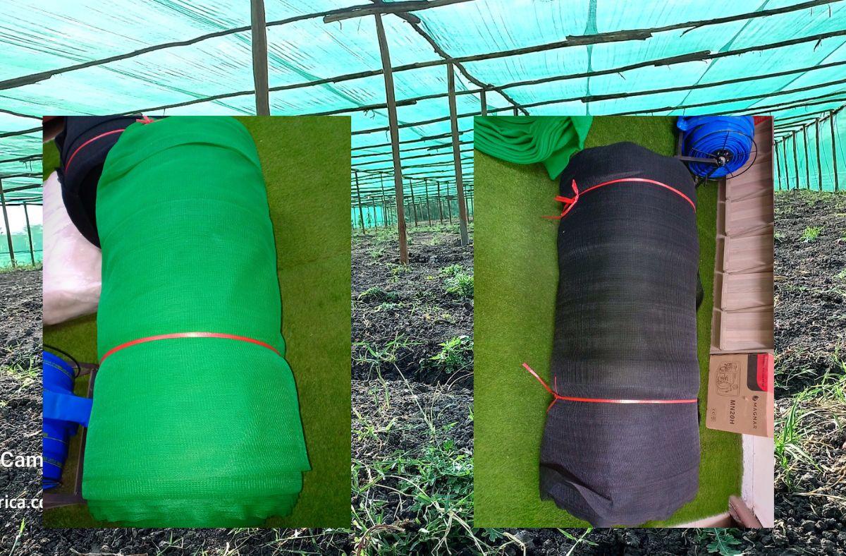 Shade Nets for Agriculture in Kenya