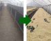 Solar Dryers for Coffee in Kenya