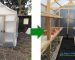 Solar Dryers in Kenya | Solar Dryers for Fruits and Vegetables