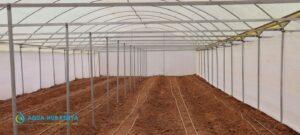 Drip irrigation Systems in Kenya