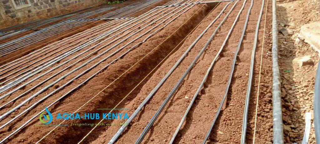 Drip irrigation Systems in Kenya