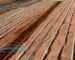 Drip irrigation Systems in Kenya