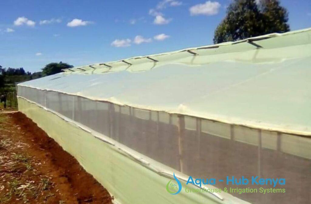 Wooden Greenhouses in Kenya