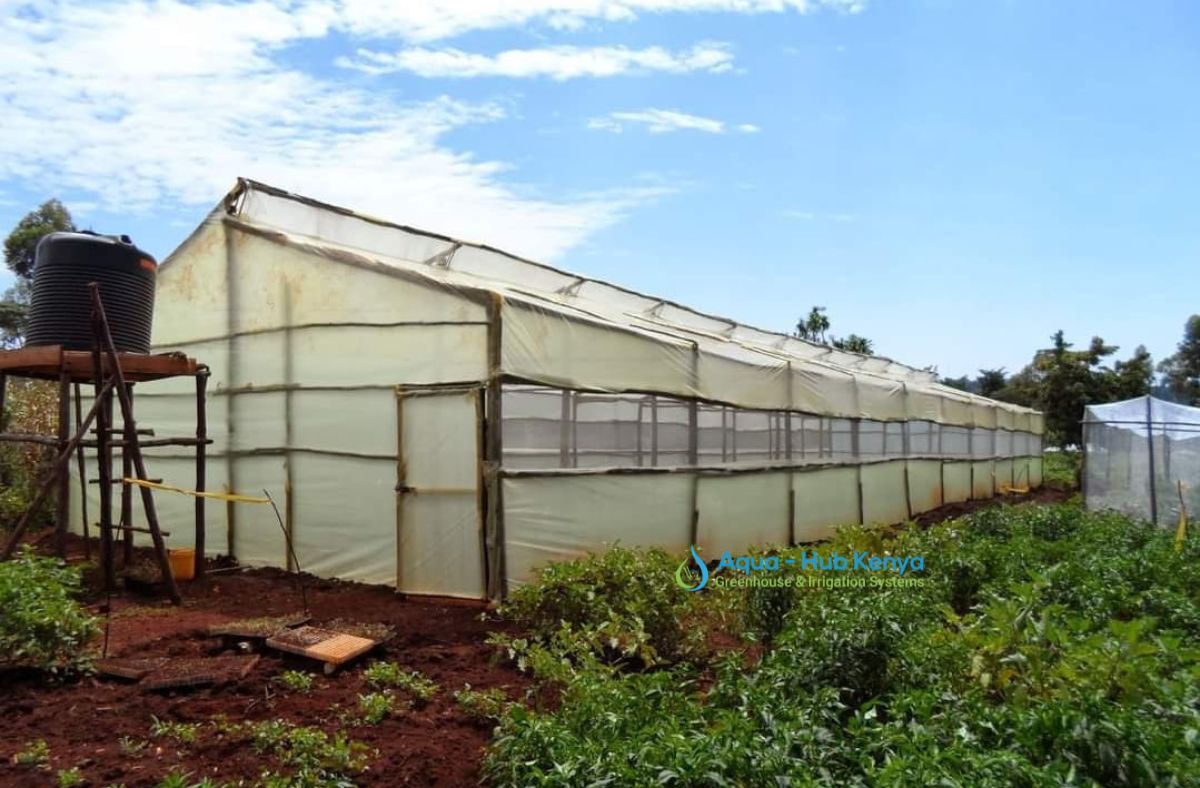 Wooden Greenhouses in Kenya