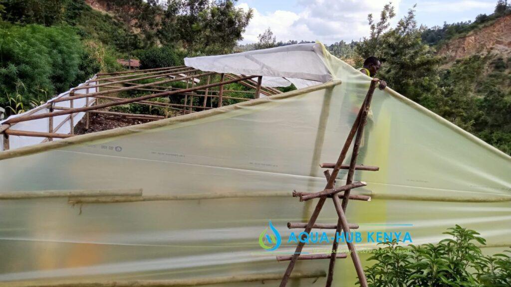 Wooden greenhouse in Kenya