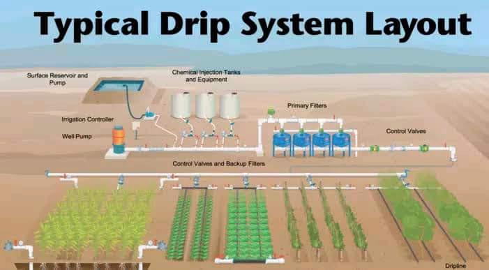 What you need for Drip Irrigation in Kenya