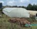 Galvanized Metallic Greenhouses in Kenya