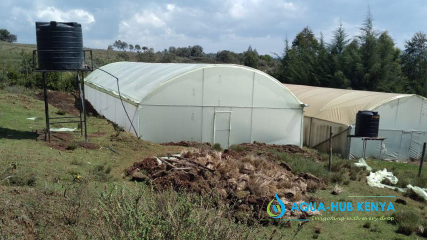 Galvanized Metallic Greenhouses in Kenya