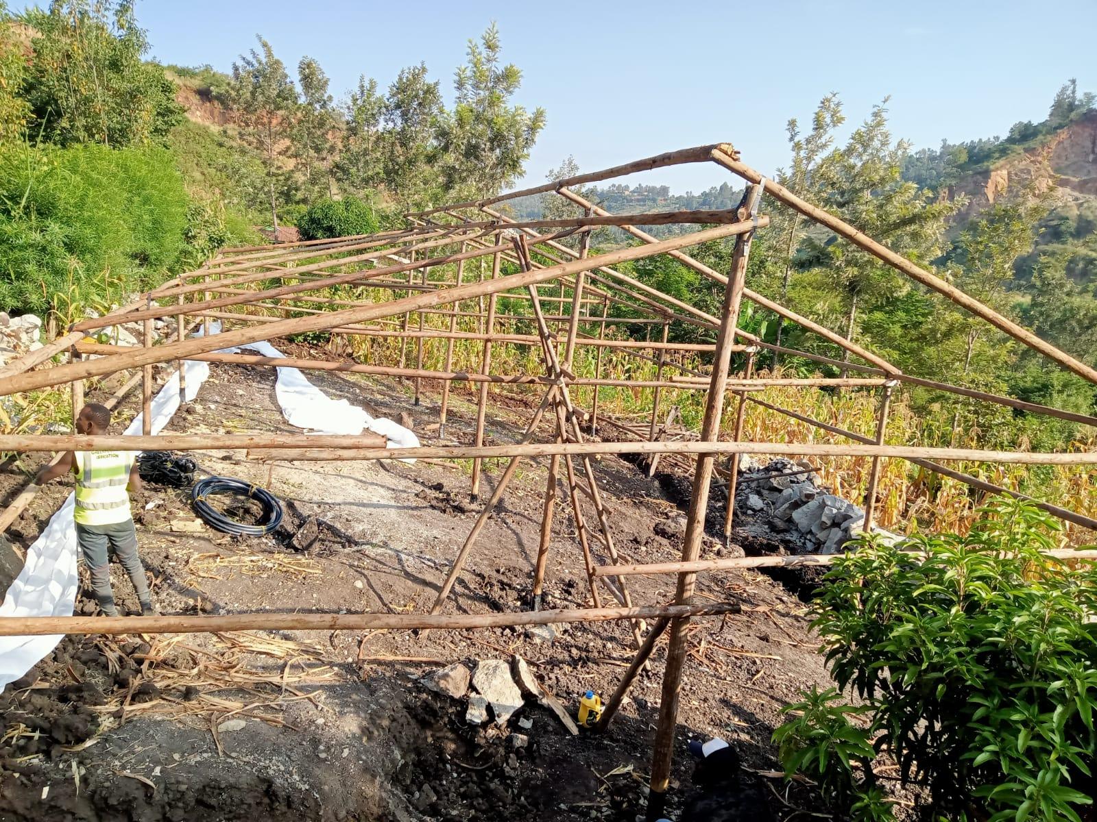 Wooden-Framed Greenhouses in Kenya