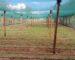 Insect Nets Price in Kenya