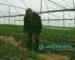Bird Net Prices in Kenya