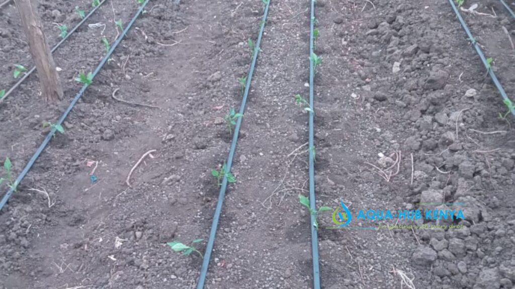 Drip Irrigation Kit and Prices