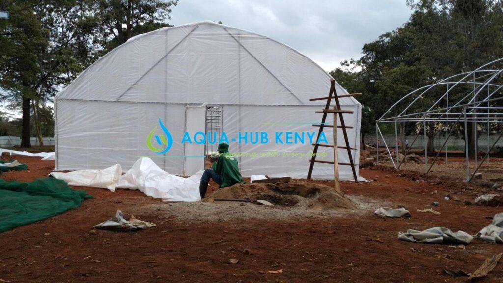 Greenhouse in Kenya : Construction Costs and Maintenance