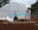 Greenhouse in Kenya : Construction Costs and Maintenance