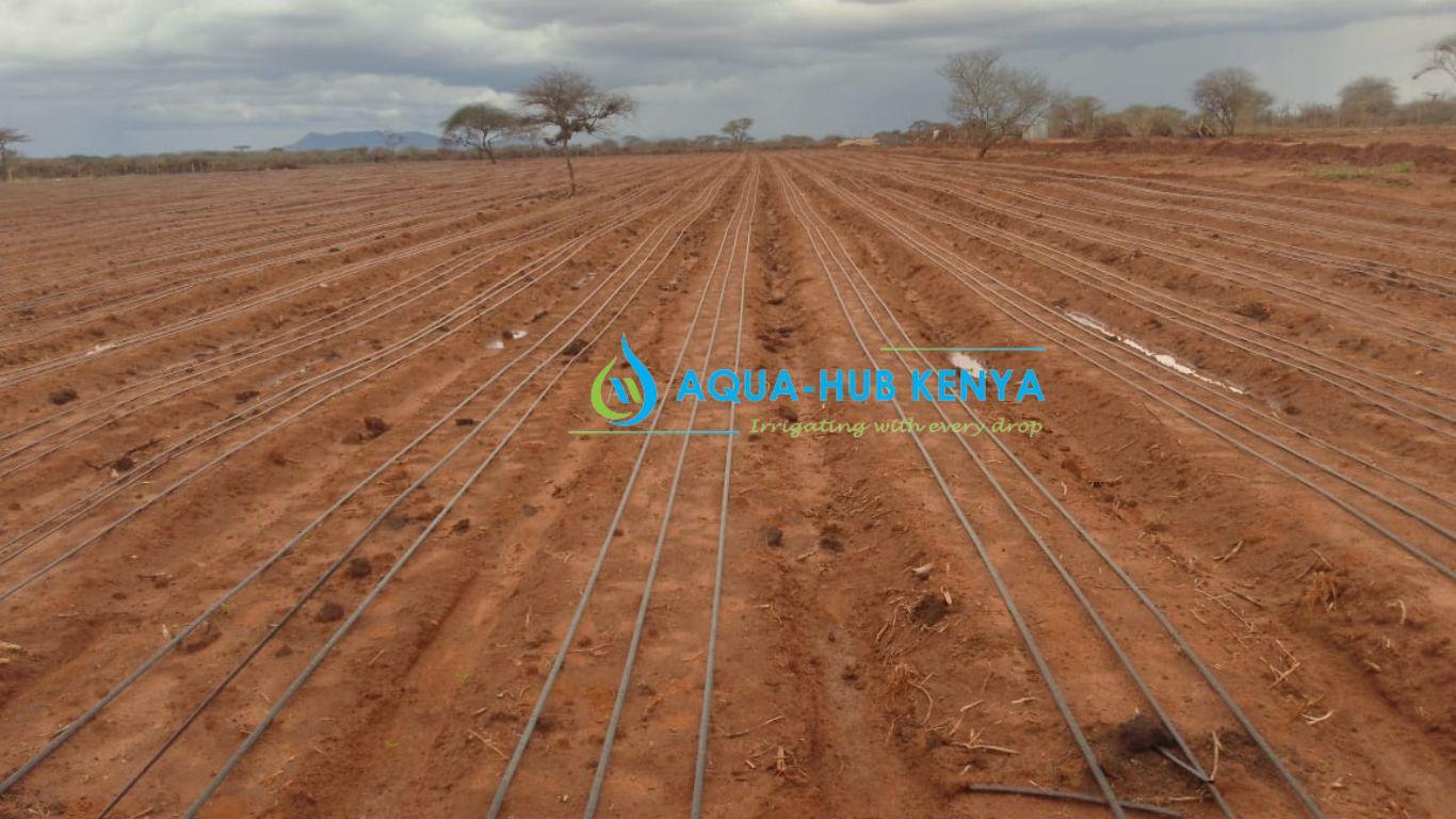 Quarter-Acre Drip Kits